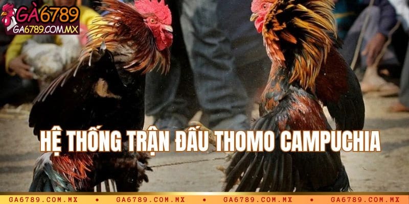Hệ thống trận đấu kịch tính